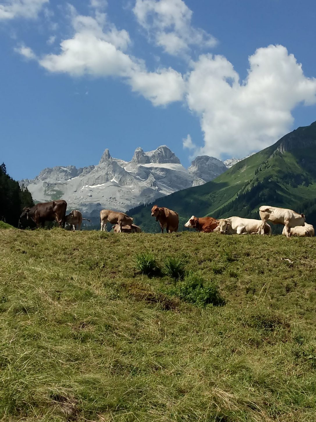 27.-29. Juni Gebirgswanderung