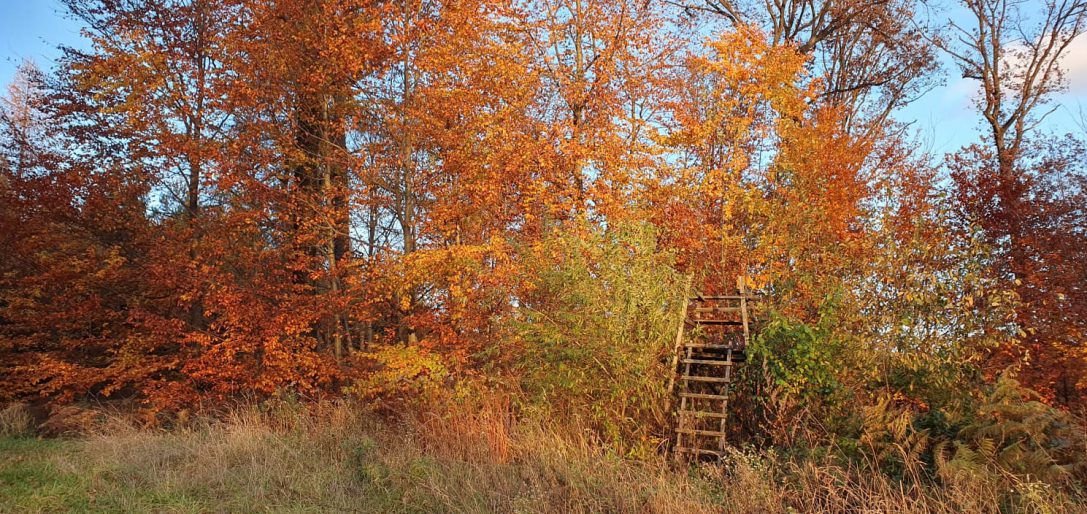 Der Herbst ist da