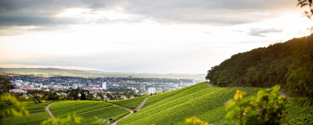 13. Okt. Sonntag-Nachmittag-Wanderung