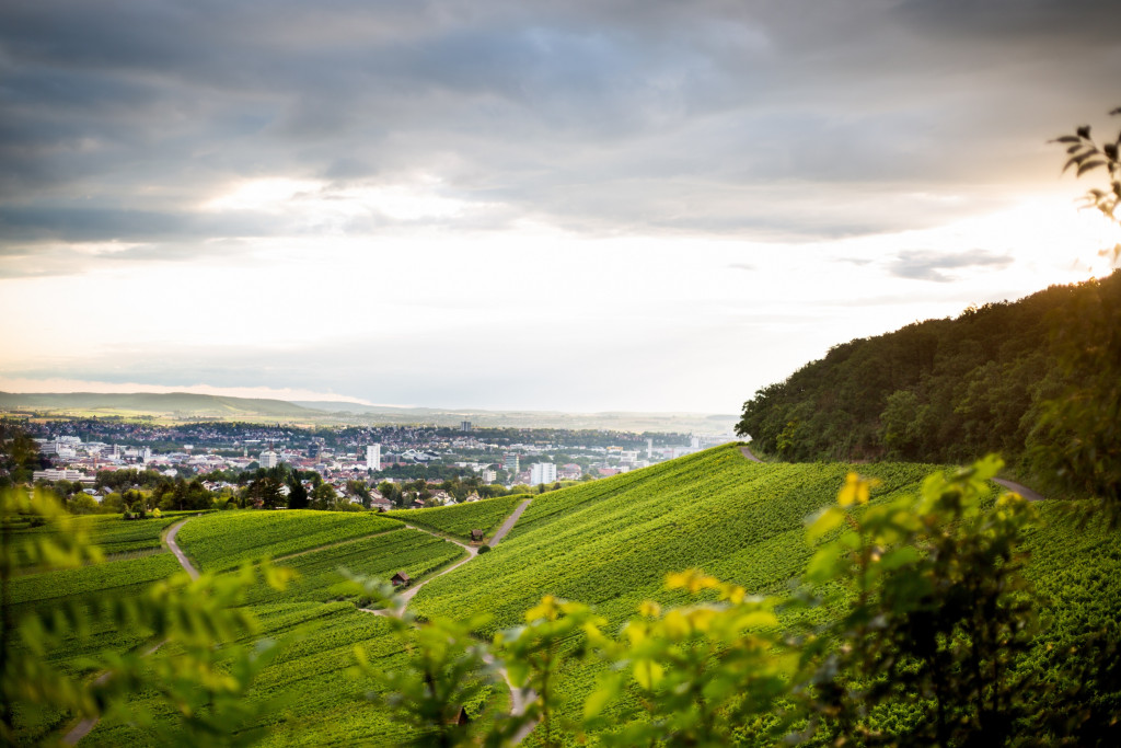 13. Okt. Sonntag-Nachmittag-Wanderung