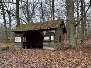 Sonntag-Nachmittag-Wanderung 19. Jan. 2025