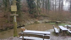 Sonntag-Nachmittag-Wanderung 16. Feb. 2025