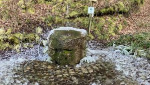 Sonntag-Nachmittag-Wanderung 16. März 2025