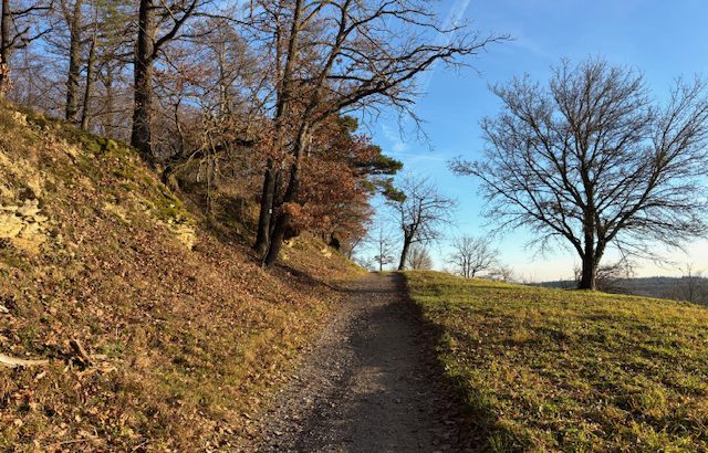 18.. Jan. Sonntag-Nachmittag-Wanderung