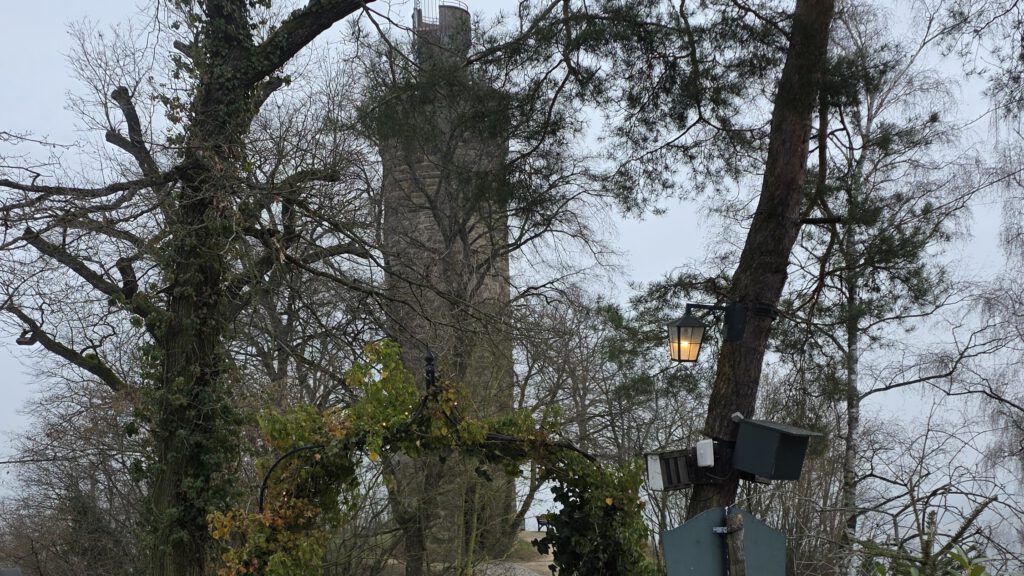 15.Feb.26  Sonntag-Nachmittag-Wanderung