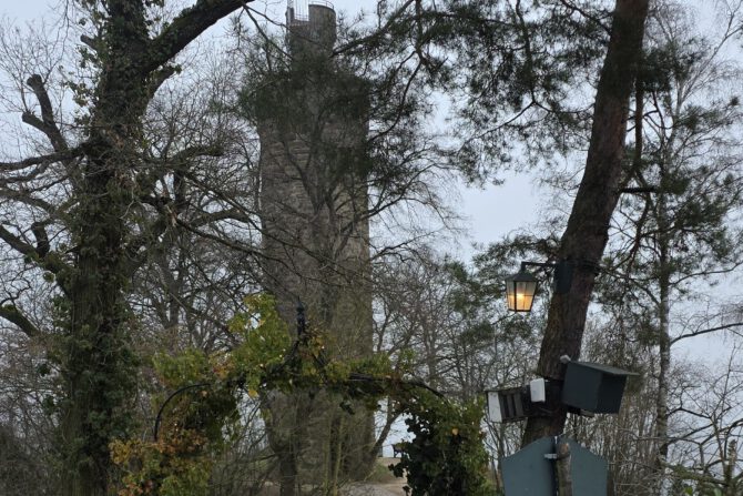 15.Feb.26  Sonntag-Nachmittag-Wanderung